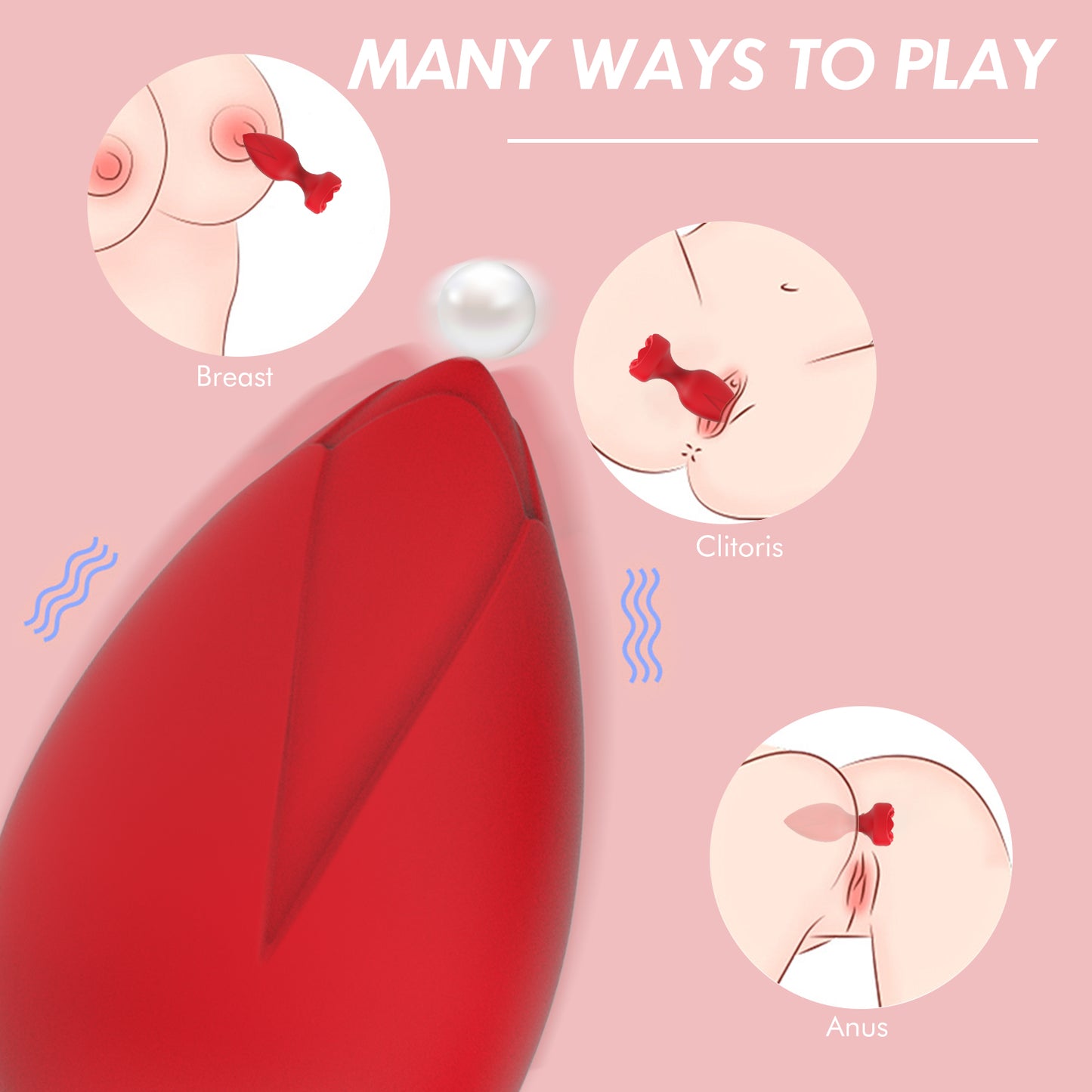 Bangor Rose-Anal Plug Vibration Remote Control APP