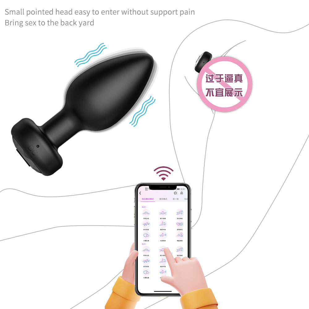 Diamond Silicone Anal Plug Set APP Remote Prostate Masturbation Massager Sex Toys